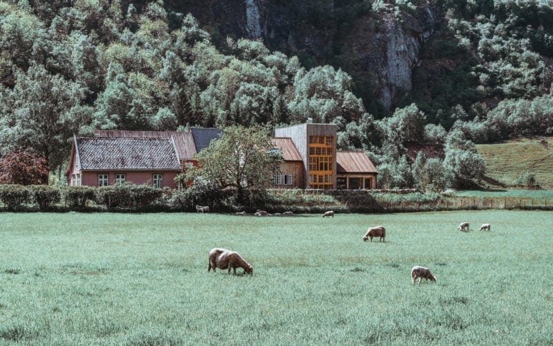 A Taste of Rural Norway: 29|2 Aurland How-To-Travel-In-Norway-Aurland-to-Flam-Ferry-292-Aurland-where-to-stay-in-Flam-Aurland-travel-blog-svadore where to stay in flam aurland farm stay in norway 4 Days in Norway: Oslo, Flam, Aurland, and Bergen