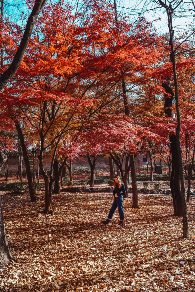 Travel Guide: 4 Days in Seoul in November What to Do in Bukchon Hanok Village, Seoul bukchon hanok village seoul south korea what to do what to see what to eat travel blog SVADORE travel guide november winter fall-1