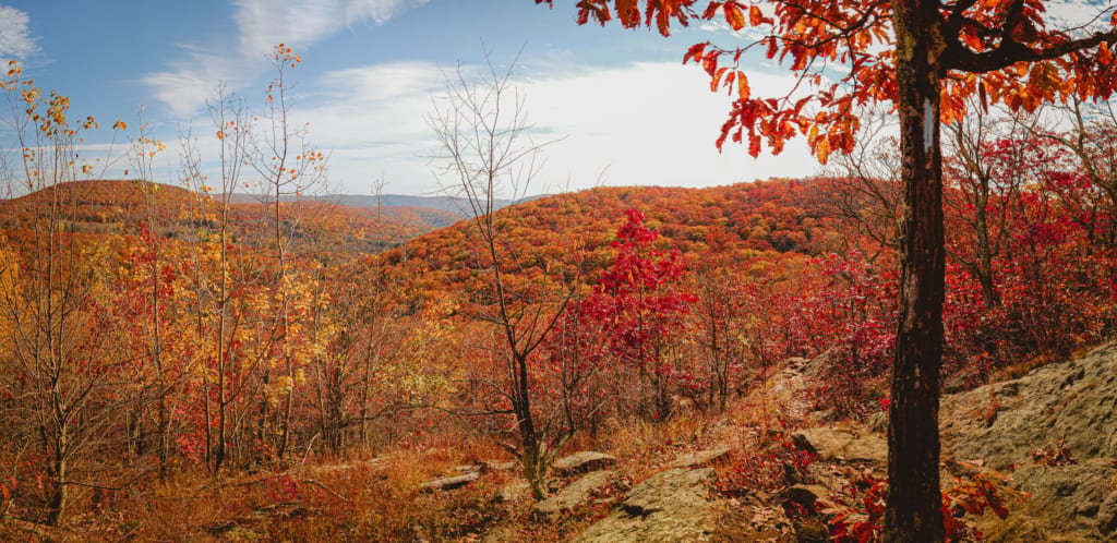 Best Hike for Fall Foliage in CT: Macedonia Brook State Park