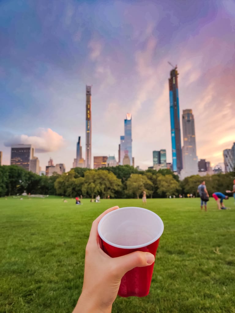 Things to Do in Central Park NYC: The Ultimate Guide! sheep meadow