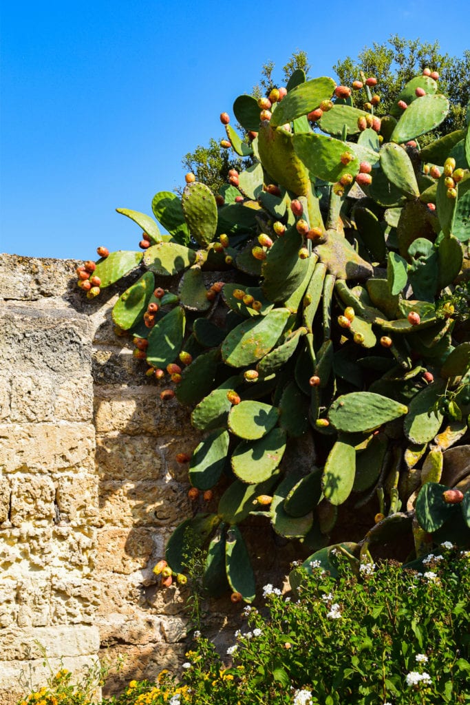 Book Art Resort Masseria Bernardini in Salento All for Yourself boutique hotel bed and breakfast puglia nardo' lecce bari center best position where to stay near buyout villa rental group asian
