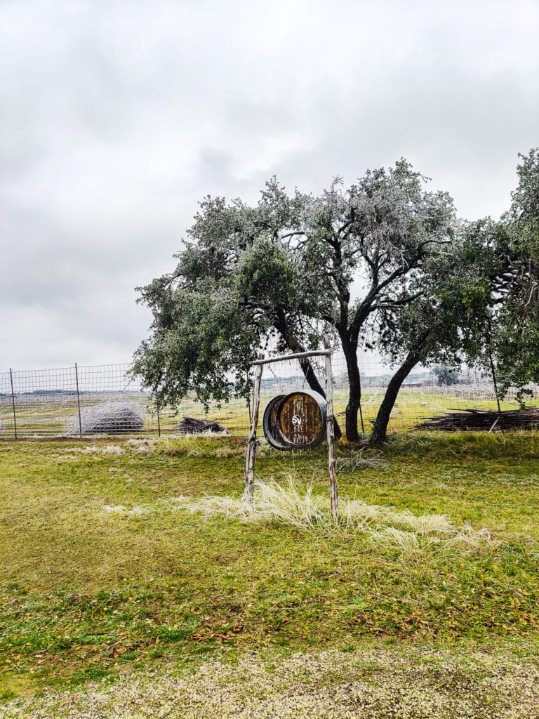 What Locals Do in Austin, TX: The Wayback's Guide texas hill country One Day in Texas Hill Country: Wineries & BBQ spicewood vineyards