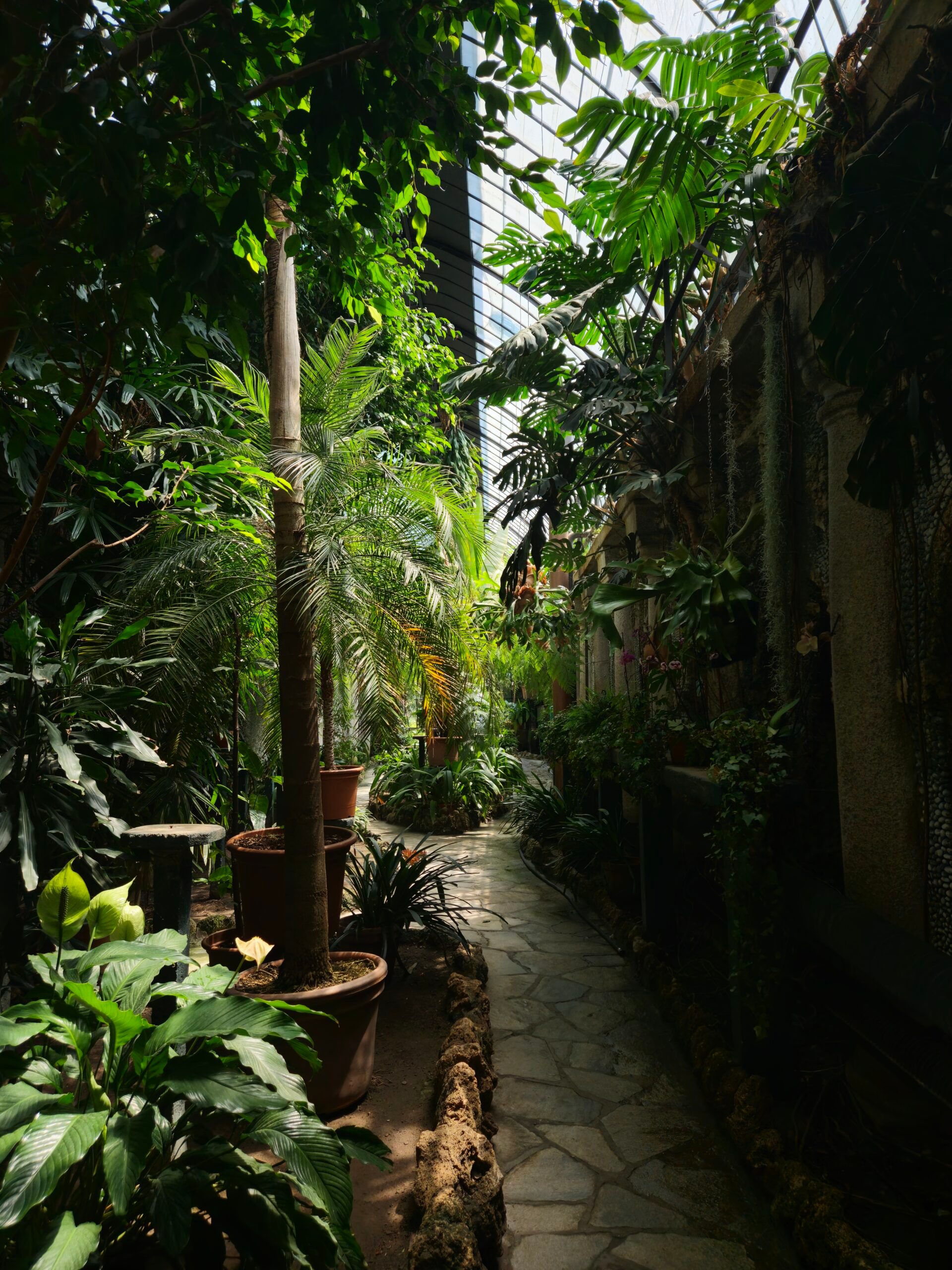 Isola Bella Lago Maggiore palazzo borromeo greenhouse gardens giardini Isola Bella Lago Maggiore palazzo borromeo greenhouse gardens giardini