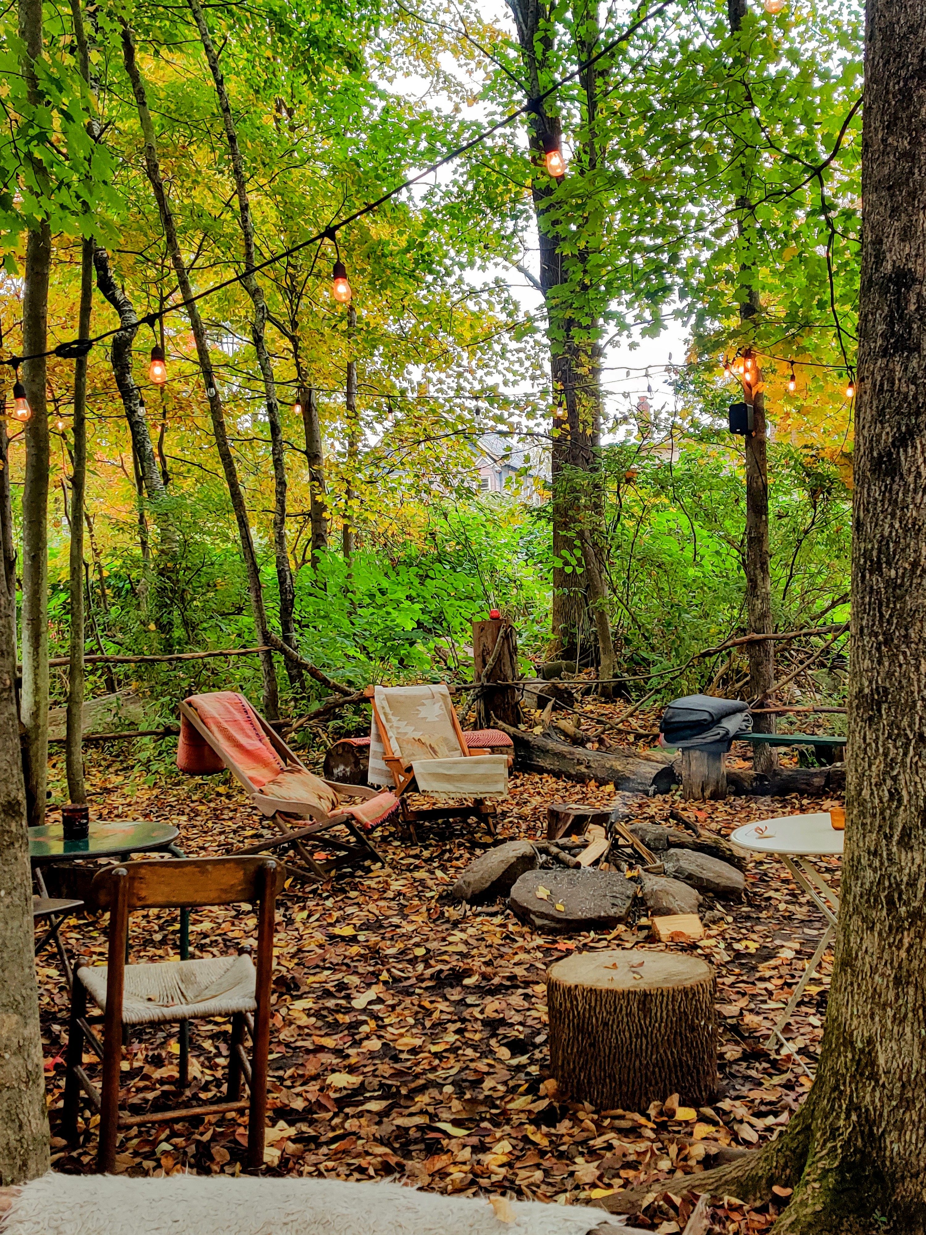 Town-by-Town Upstate New York Fall Foliage Review mountain dale creek bar