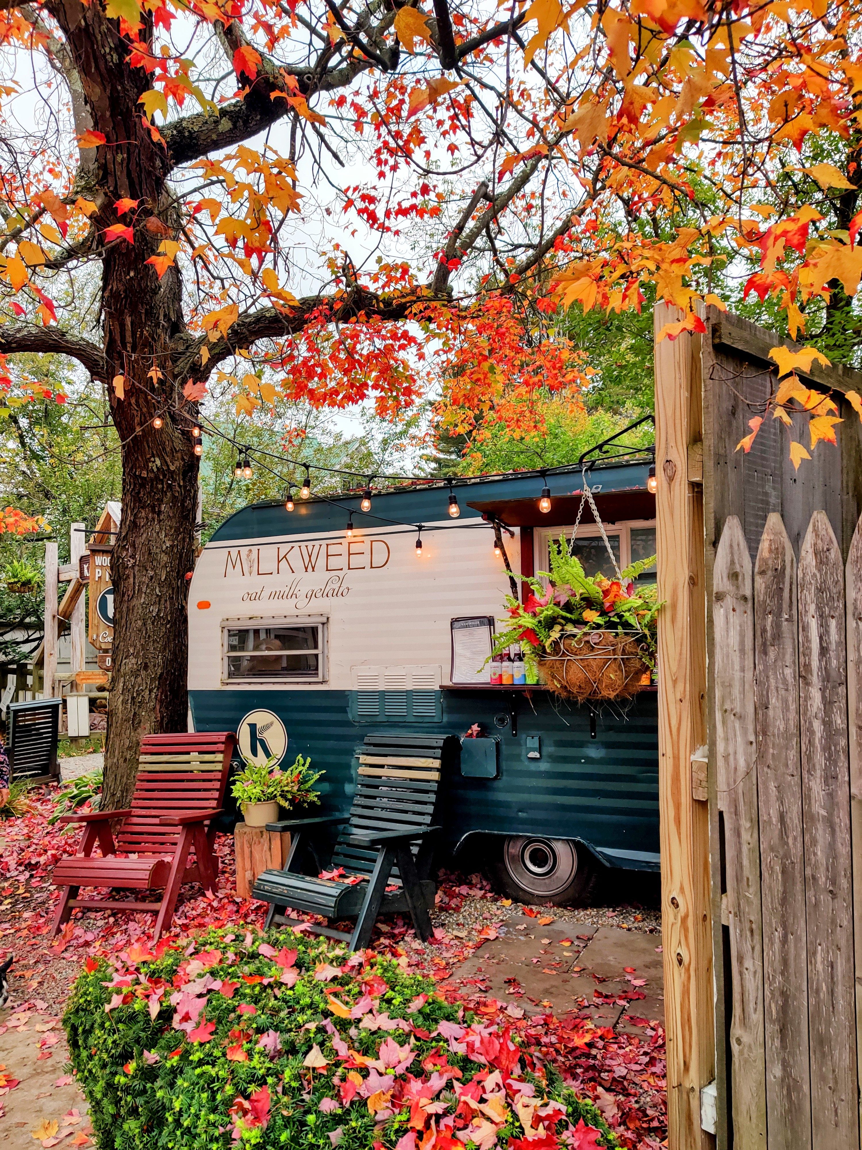 Town-by-Town Upstate New York Fall Foliage Review livingston manor