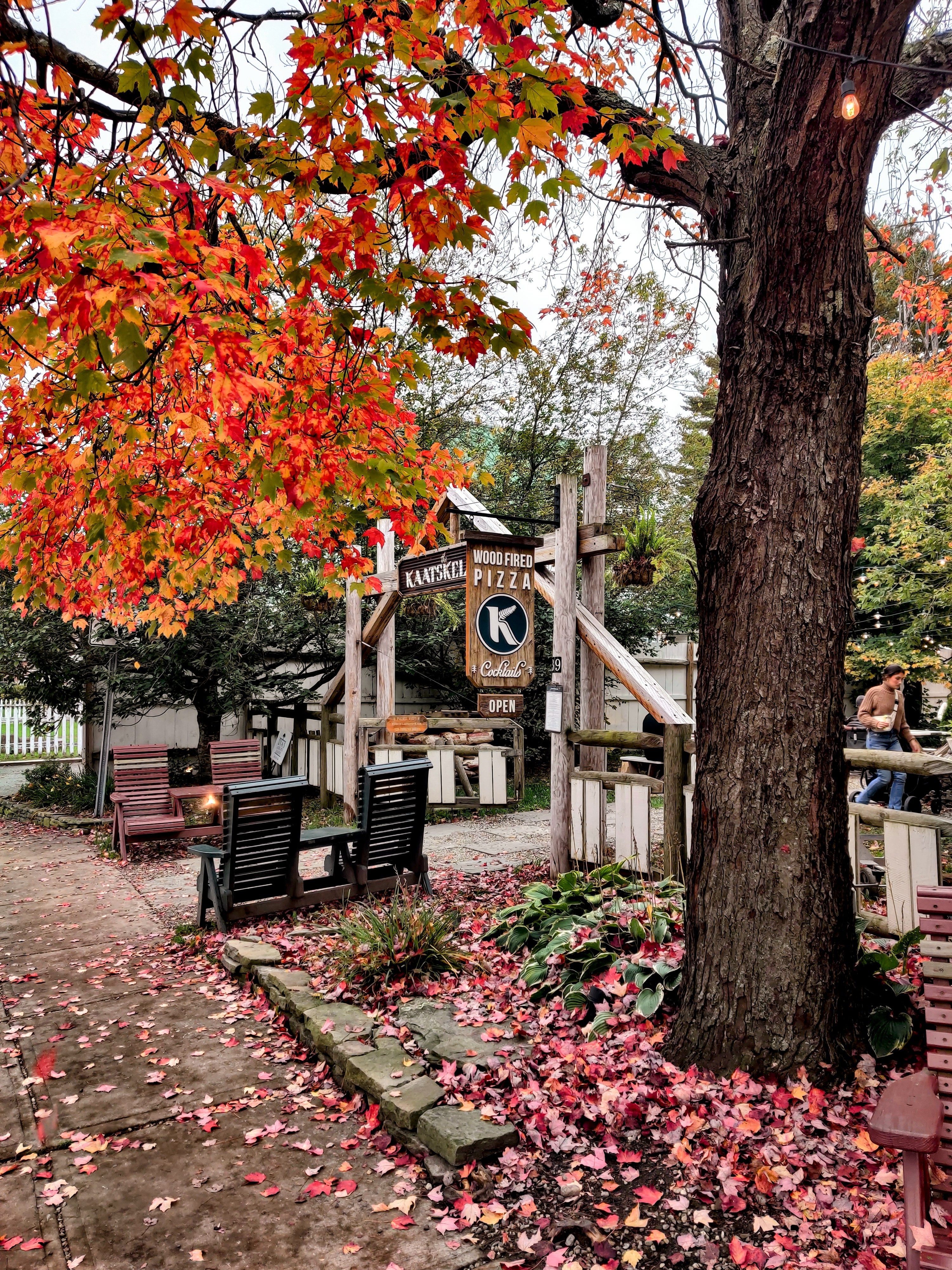 Town-by-Town Upstate New York Fall Foliage Review livingston manor