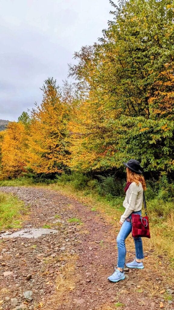 Town-by-Town Upstate New York Fall Foliage Review livingston manor
