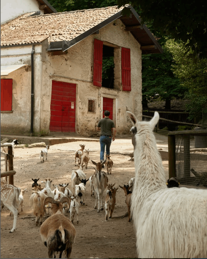What to Expect from Stresa, Lago Maggiore parco pallavicino