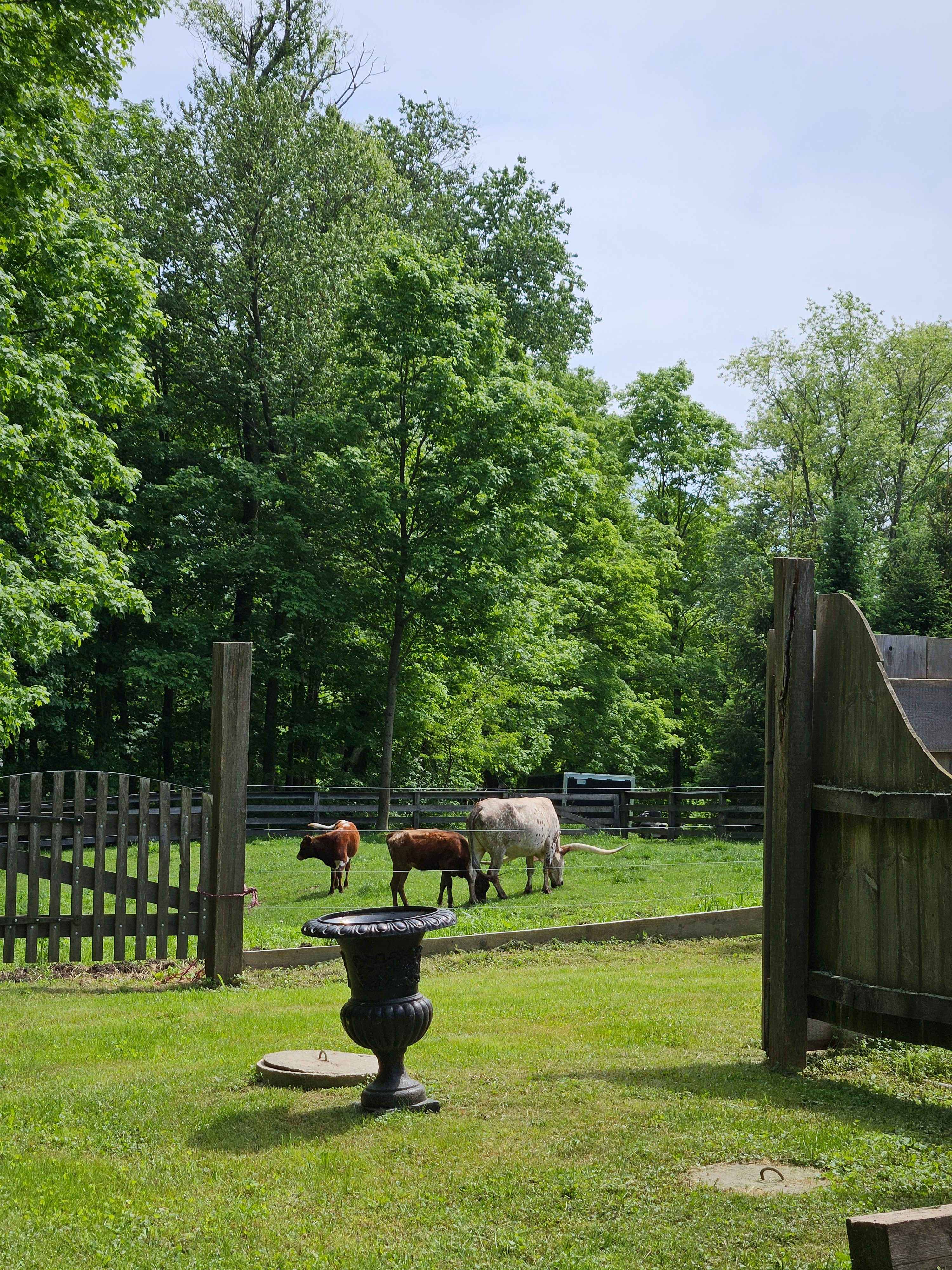 Thorncrest Farm: Chocolate, Cows & a Return to Simpler Times