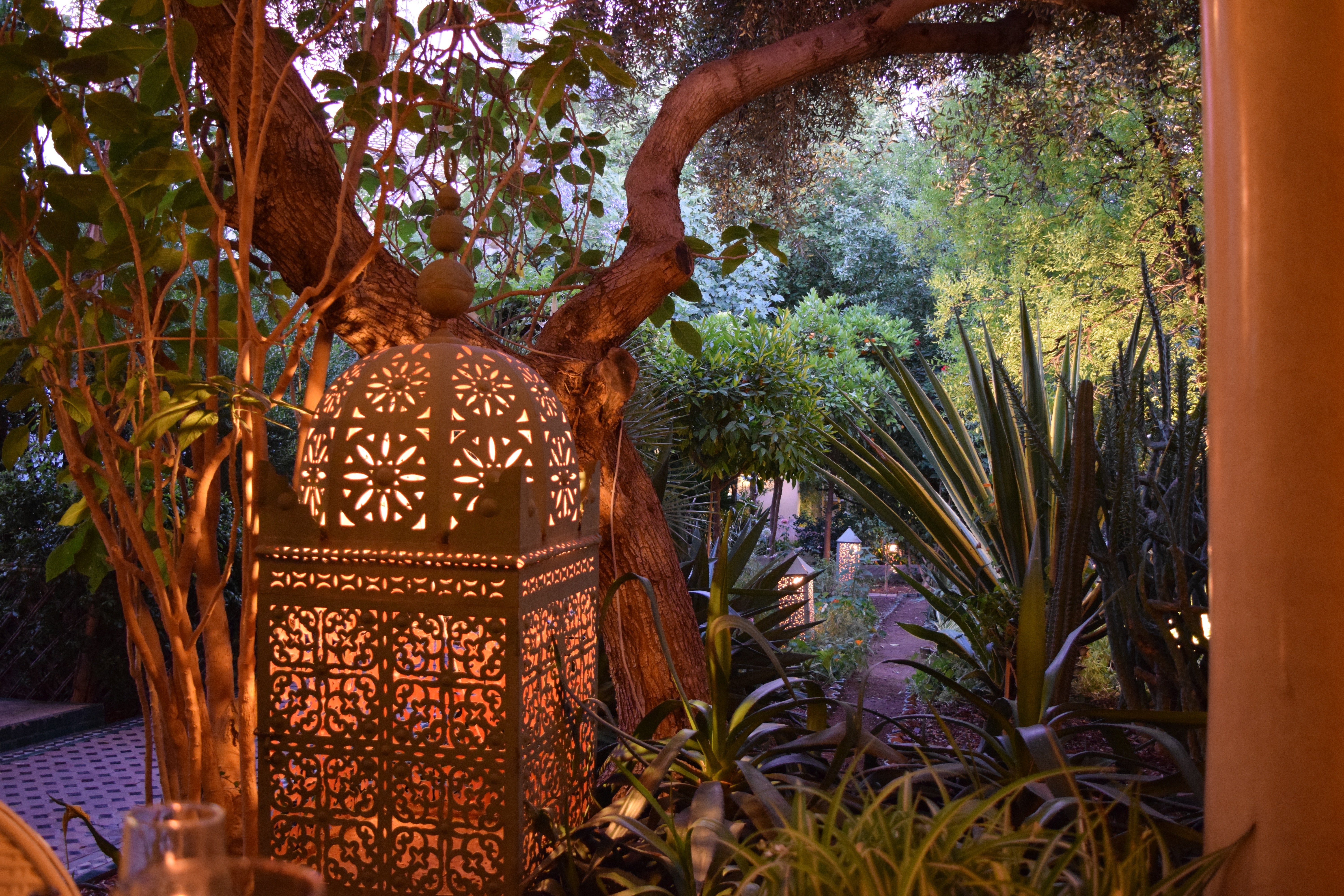 Best Restaurants & Food in Fez, Morocco Fez Café Le Jardin des Biehn Dinner Lunch Courtyard Where to Eat in Fes Fez Morocco Food Foodie Best of Morocco garden Best Restaurants & Food in Fez, Morocco