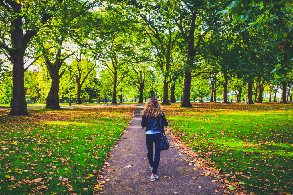 Travel guide to london uk blog what to do what to see where to go 3 days-4-2
Autumn leaves in Hyde Park London with Serpentine Lake view.