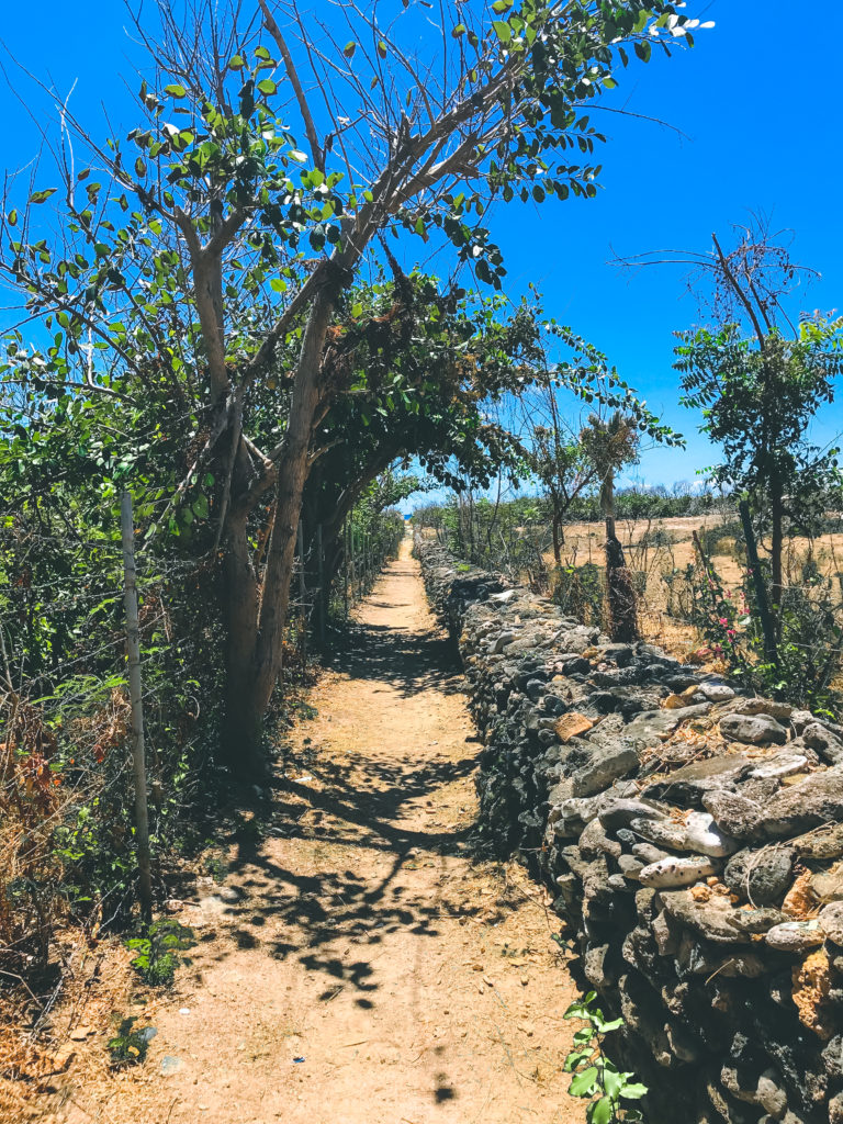 How To Get To The Grand Fond Natural Pool Of St. Barth in Grand Fond SVADORE Caribbean hidden gem swimming hole beautiful gorgeous piscine naturelle 38
