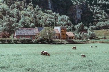 A Taste of Rural Norway: 29|2 Aurland How-To-Travel-In-Norway-Aurland-to-Flam-Ferry-292-Aurland-where-to-stay-in-Flam-Aurland-travel-blog-svadore where to stay in flam aurland farm stay in norway 4 Days in Norway: Oslo, Flam, Aurland, and Bergen