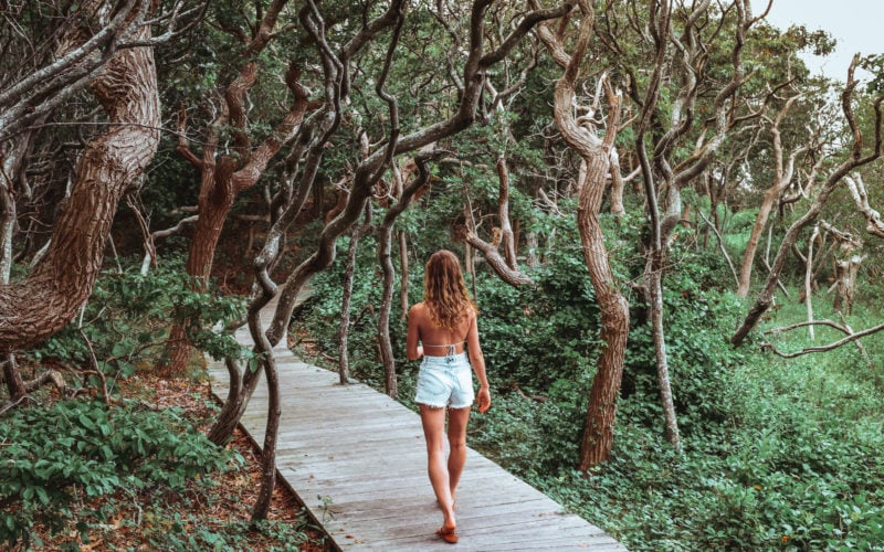 What To Do On Fire Island: Sunken Forest, Sailors Haven Fire Island Sunken Forest Sailors Haven Long Island Summer Travel Guide What to Do Beach food Surf-1-6