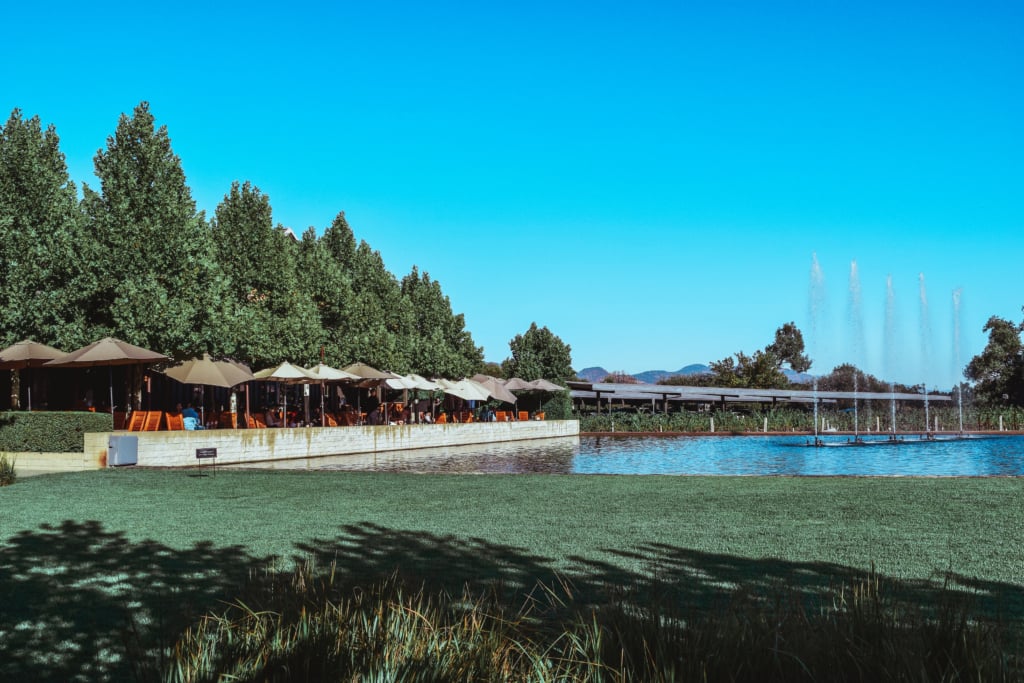 A Taste of Old and New at Alpha Omega Winery, Napa Valley Alpha Omega Winery Napa Valley Travel Guide California Road trip SVADORE travel blog-1-22