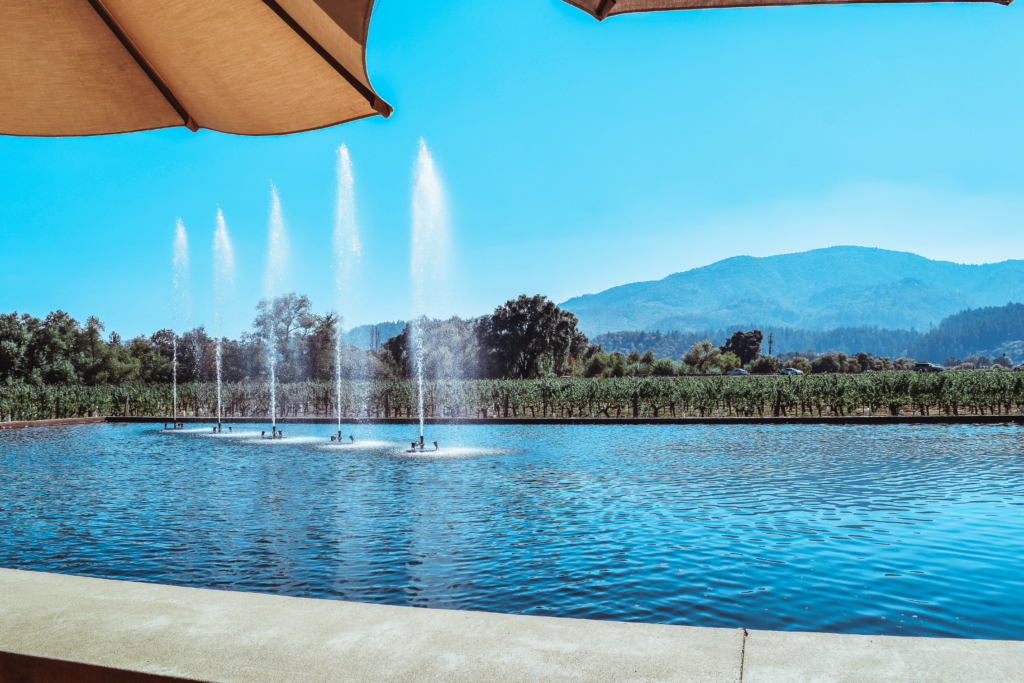 A Taste of Old and New at Alpha Omega Winery, Napa Valley Alpha Omega Winery Napa Valley Travel Guide California Road trip SVADORE travel blog-1-22