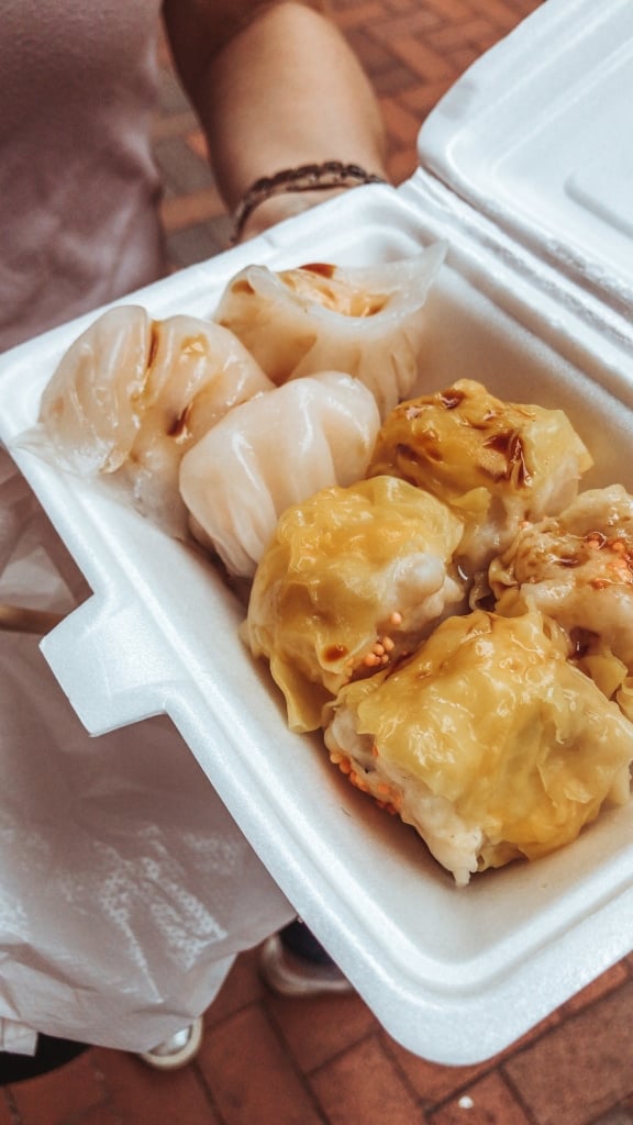 2 DAYS IN HONG KONG: A TRAVEL GUIDE TO CENTRAL AND OUTSKIRTS Hong Kong Street Food: Bao Dim Tat Yan Hong Kong 2 day Travel Guide two days china asia svadore what to do where to eat -1-7