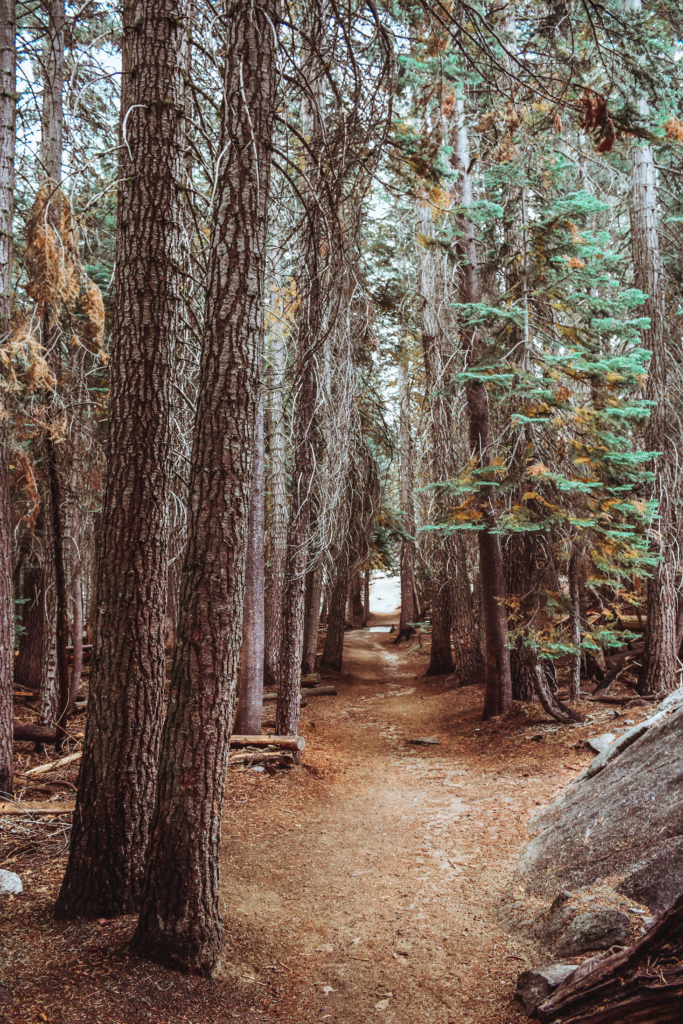 https://www.svadore.com/short-easy-hike-yosemite-taft-point/