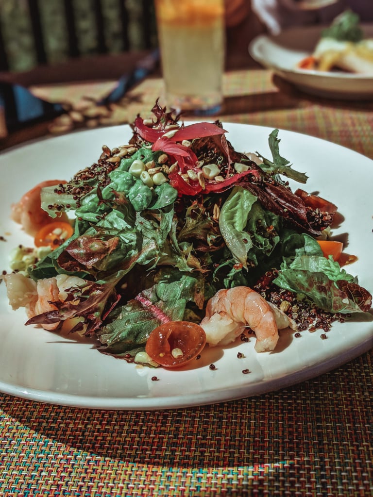Auberge du Soleil: Lunch with a View in Napa Valley Auberge du Soleil where to eat in st. helena napa valley lunch views of wineries rolling hills travel blog SVADORE -10