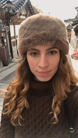 What to Do in Bukchon Hanok Village, Seoul bukchon hanok village seoul south korea what to do what to see what to eat travel blog SVADORE travel guide november winter fall-1
