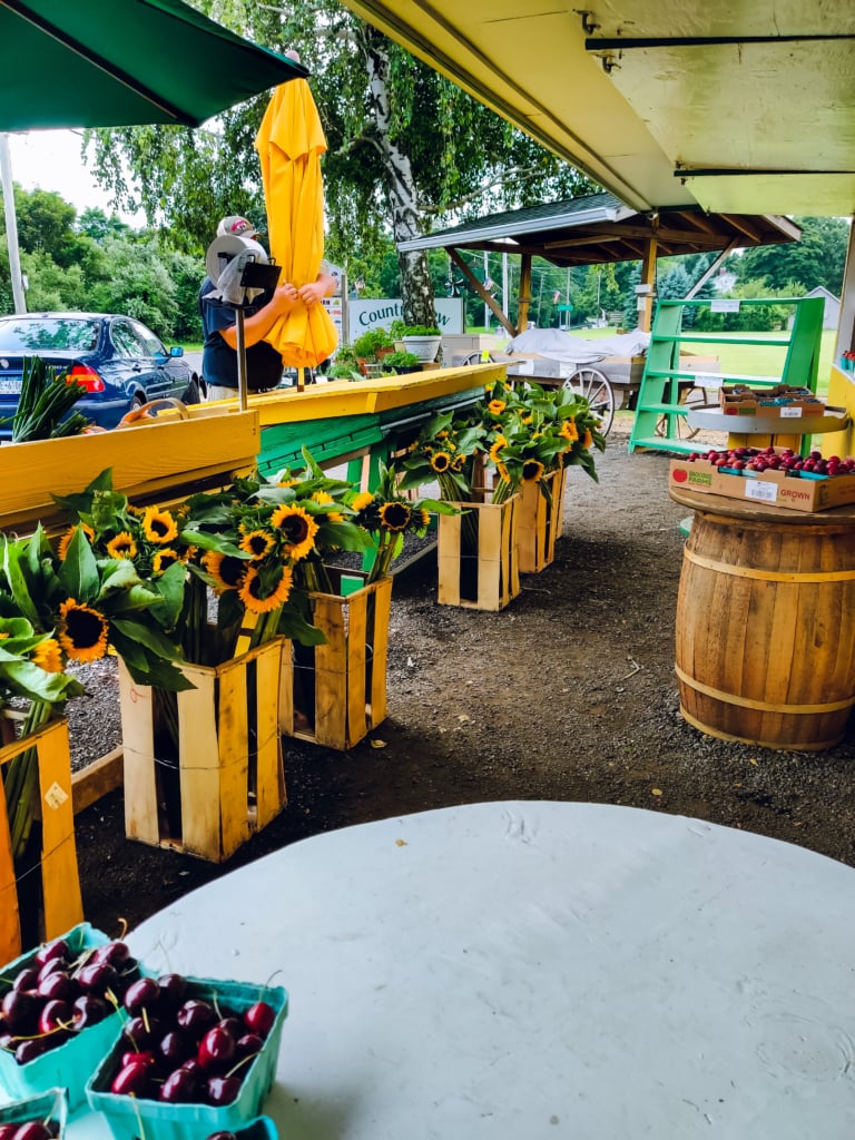country view farm stand southold