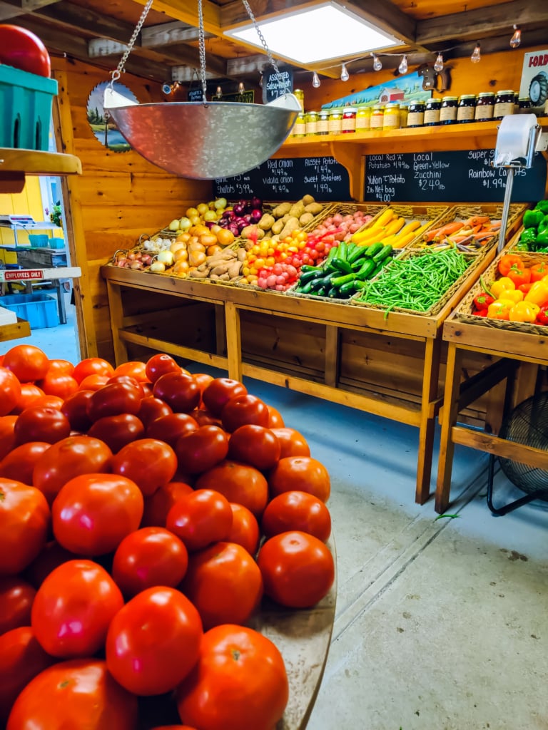 country view farm stand southold