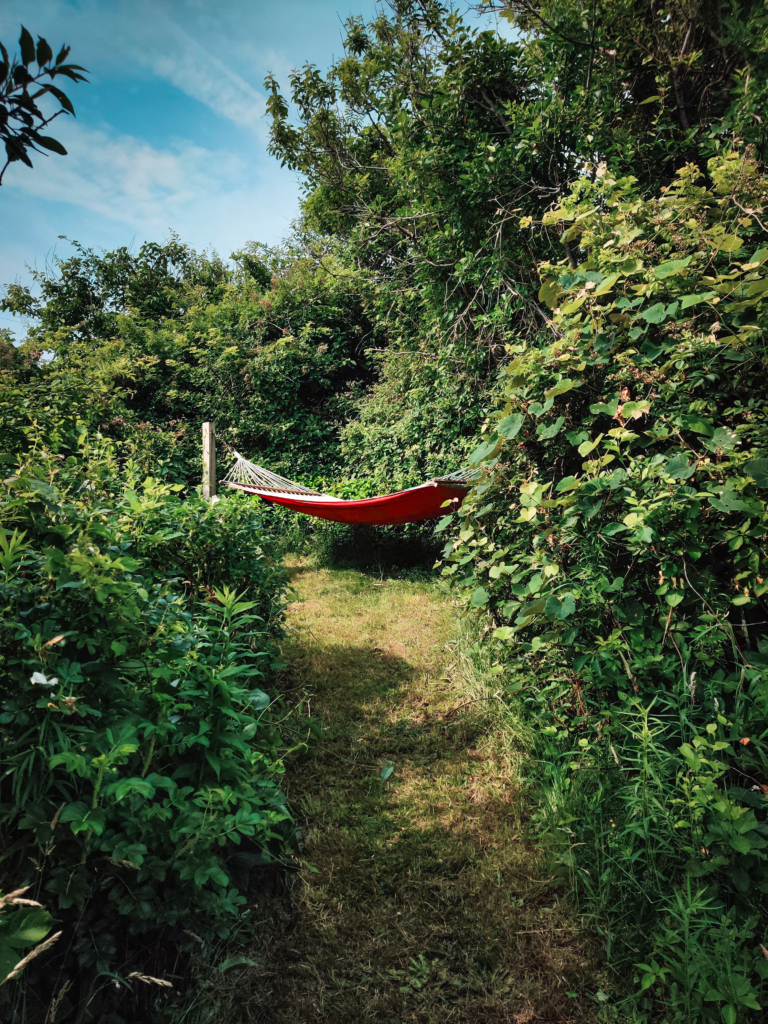 Enjoy the Sea Breeze, a Block Island Bed and Breakfast