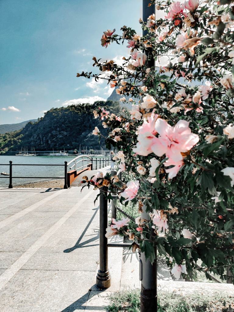 A Guide to My Italian Hometown: Feriolo, Lago Maggiore