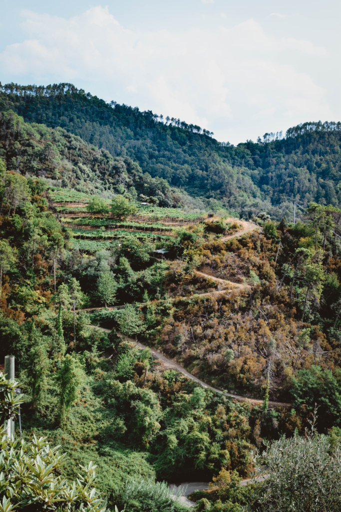 Where to Stay Cinque Terre: La Sosta di Ottone III chiesanuova levanto boutique hotel experience UNESCO winery michelin-starred
