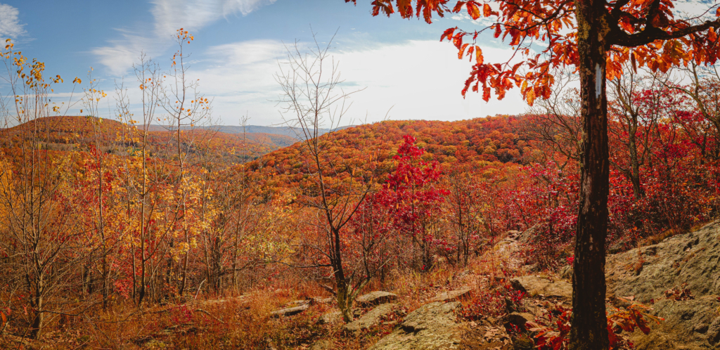 Best Hike for Fall Foliage in CT: Macedonia Brook State Park