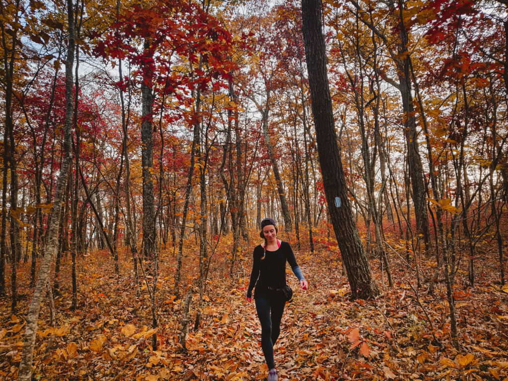 Best Hike for Fall Foliage in CT: Macedonia Brook State Park