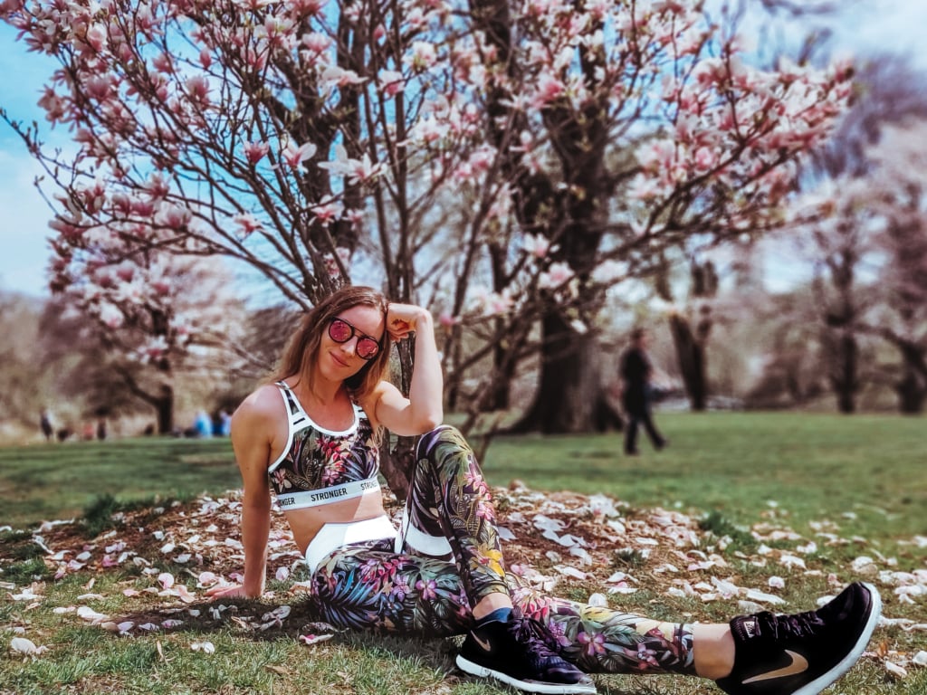 Things to Do in Central Park NYC: The Ultimate Guide! cherry hill