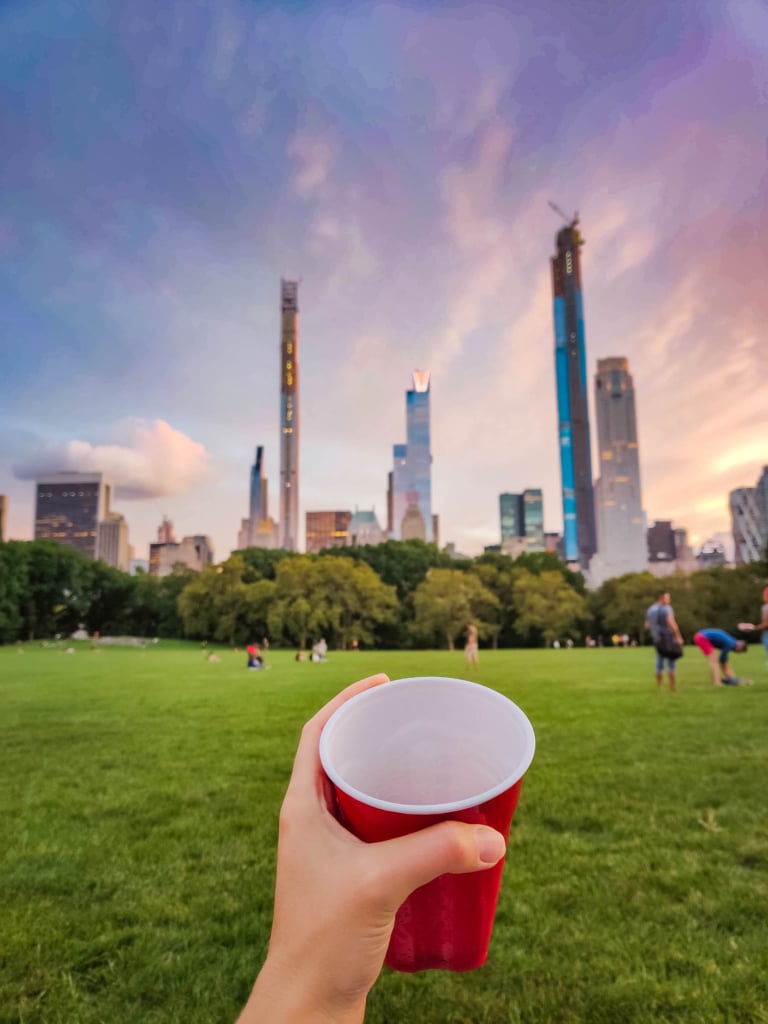 Things to Do in Central Park NYC: The Ultimate Guide! sheep meadow
