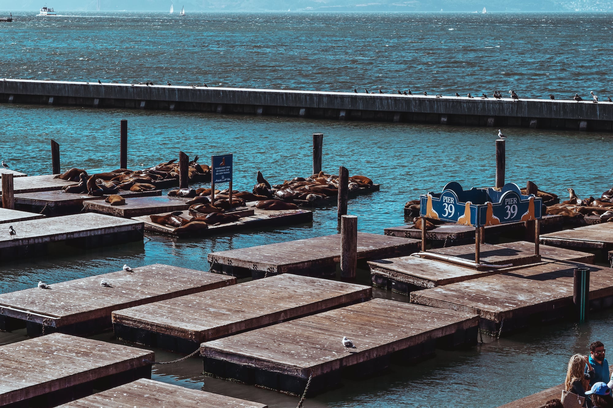 2 Days in San Francisco Itinerary: 10 Things to Do 2 Days in San Francisco Itinerary: 10 Things to Do Classic California Road Trip: 10 days from Coast, Parks, to Vineyards
