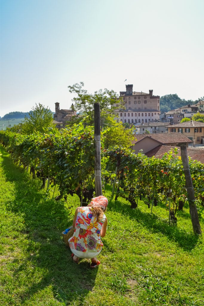 Visit Italy's Wine Villages: Barolo Wine Region