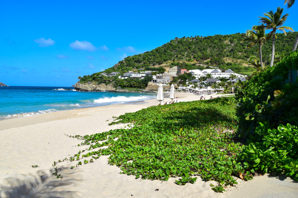 Beaches of St. Barts: Flamands Beach colombier cheval blanc la langouste anse de flamands villa marie st. barth