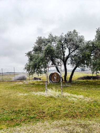 What Locals Do in Austin, TX: The Wayback's Guide texas hill country One Day in Texas Hill Country: Wineries & BBQ spicewood vineyards