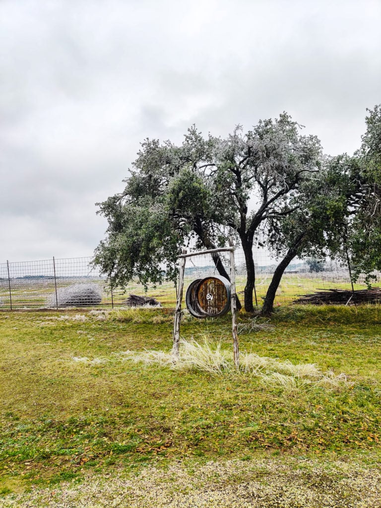 What Locals Do in Austin, TX: The Wayback's Guide texas hill country One Day in Texas Hill Country: Wineries & BBQ spicewood vineyards