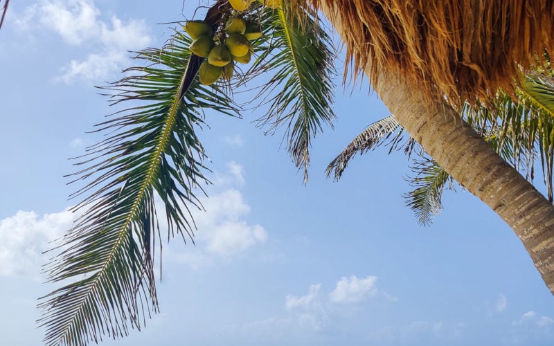 3 Days in Tulum: A Relaxing Itinerary