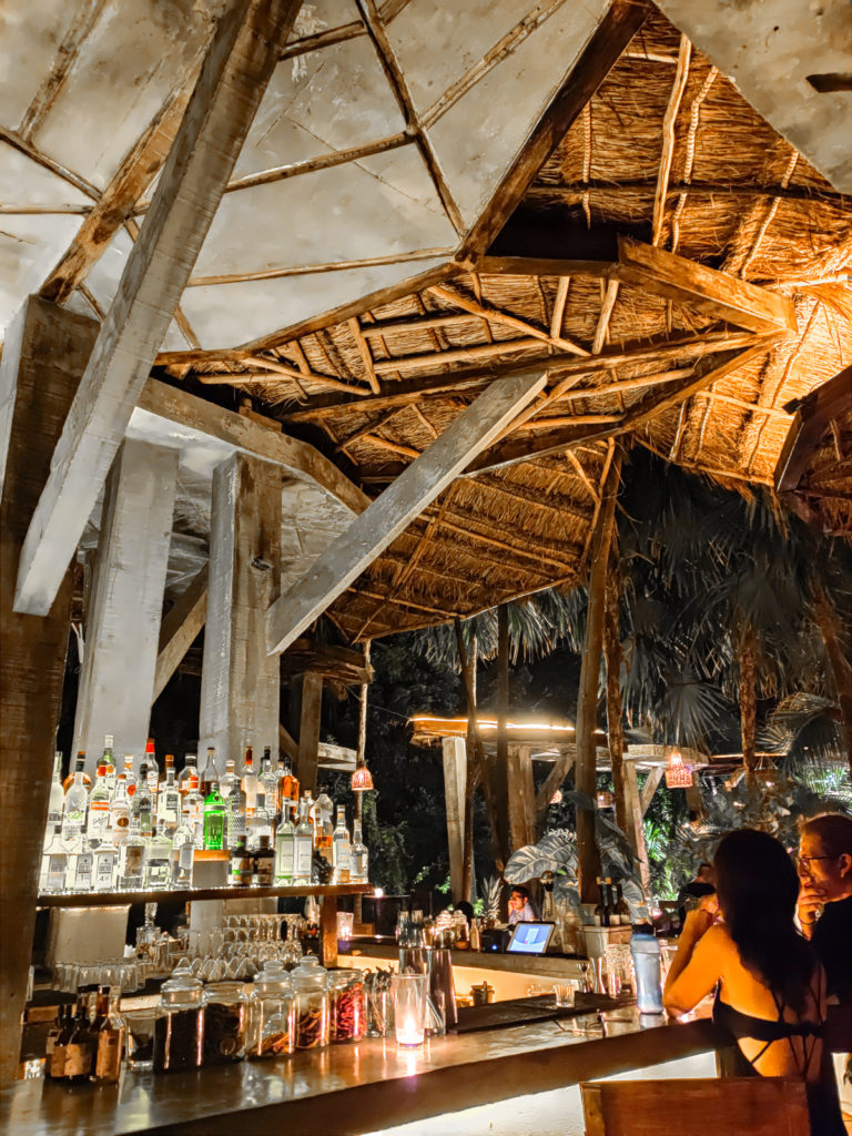 15 Restaurants in Tulum & Unique Foods To Try WILD tulum