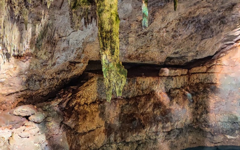 What are Cenotes? Your Guide to the Yucatán Peninsula