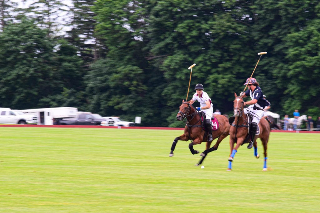 Your Guide To Attending A Greenwich Polo Club Match