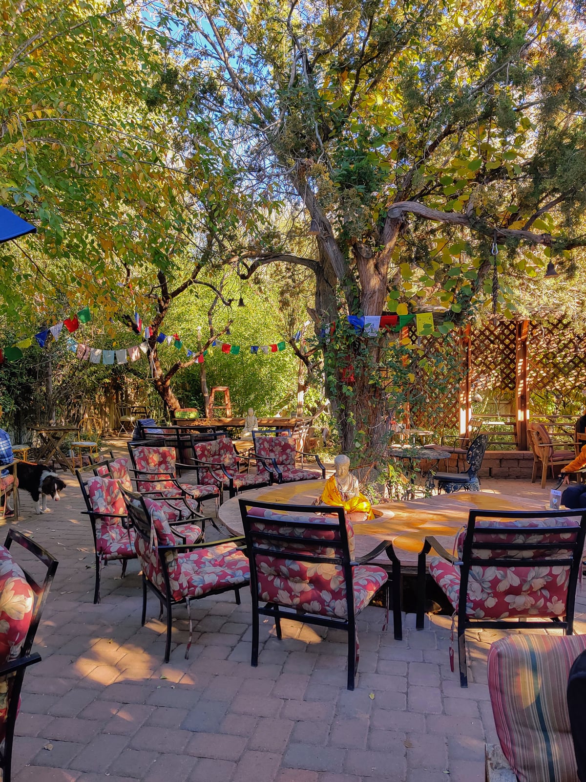 Why You Should Eat At Chocolatree in Sedona garden sanctuary vegan food Why You Should Eat At Chocolatree in Sedona garden sanctuary vegan food