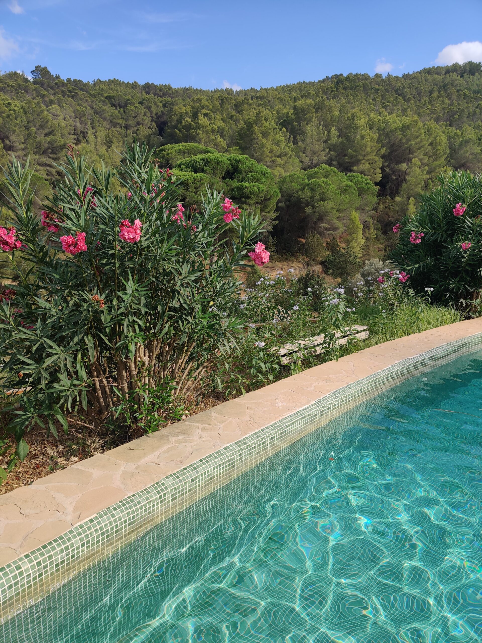 3 Day Ibiza Itinerary: Experience Real Ibiza's Hippy Past (You Won't Find This Elsewhere) 3 Day Ibiza Itinerary: Experience Real Ibiza's Hippy Past (You Won't Find This Elsewhere)