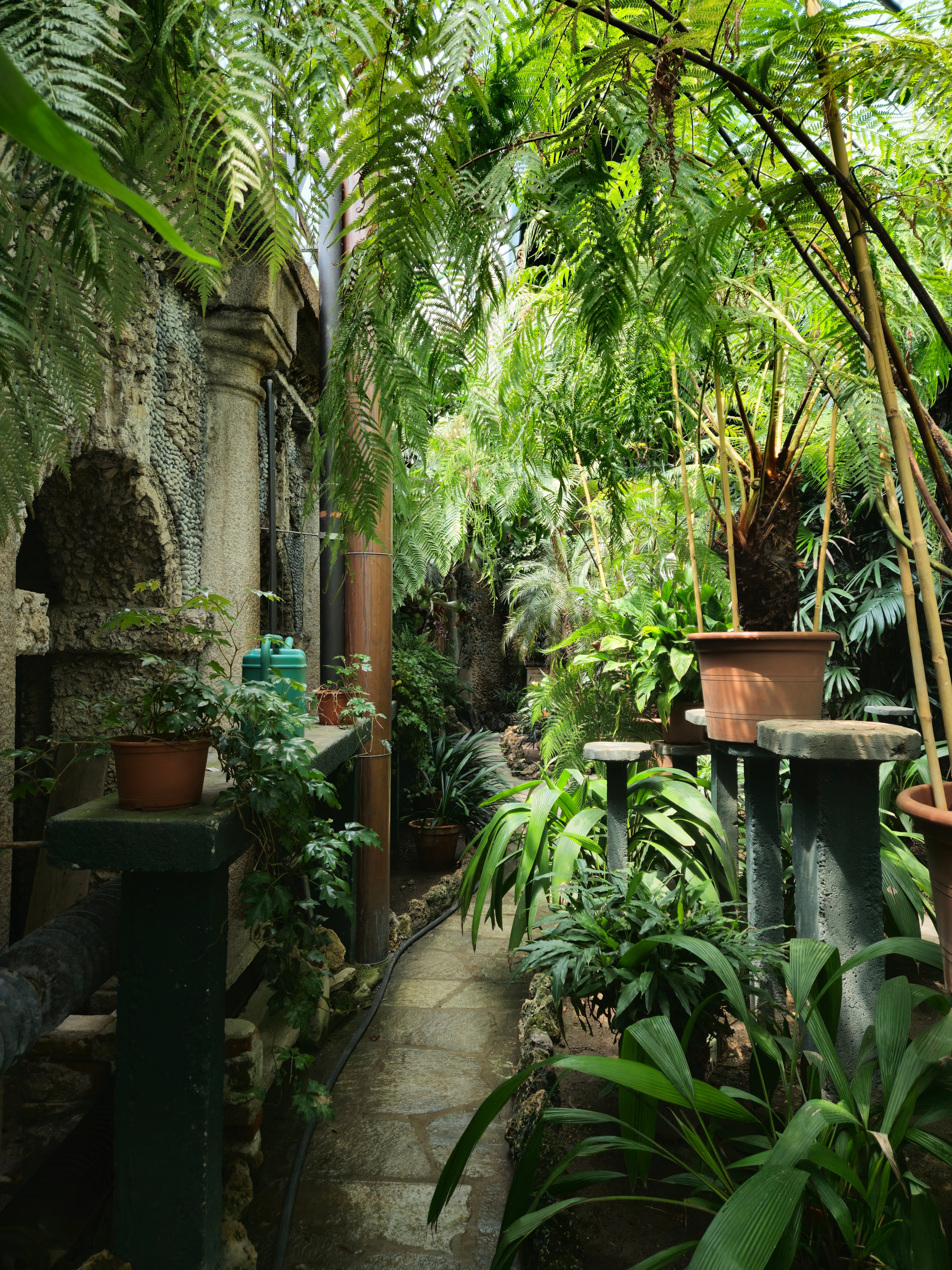 Isola Bella Lago Maggiore palazzo borromeo greenhouse gardens giardini Isola Bella Lago Maggiore palazzo borromeo greenhouse gardens giardini
