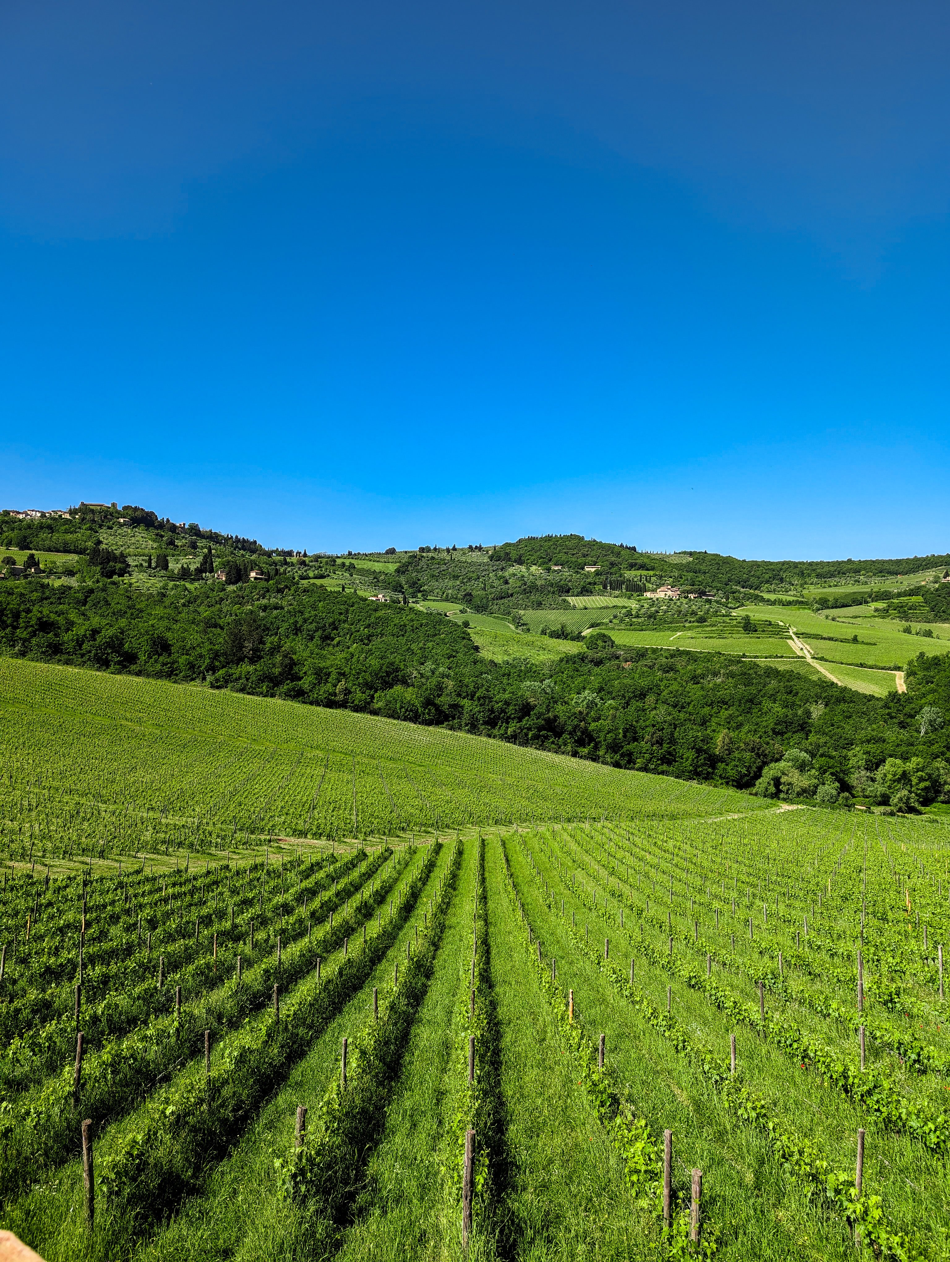 How to Spend A Weekend in Panzano in Chianti