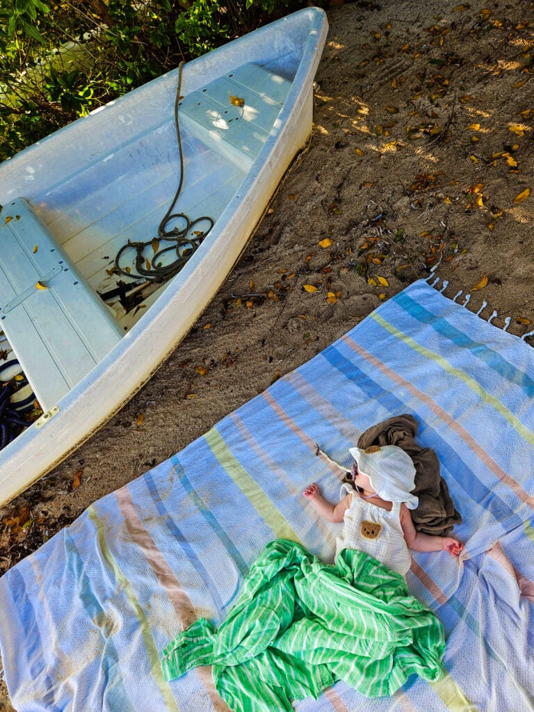 Grand Cul de Sac lagoon swimming with turtles St. Barths insider tips