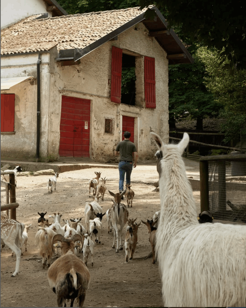 What to Expect from Stresa, Lago Maggiore parco pallavicino