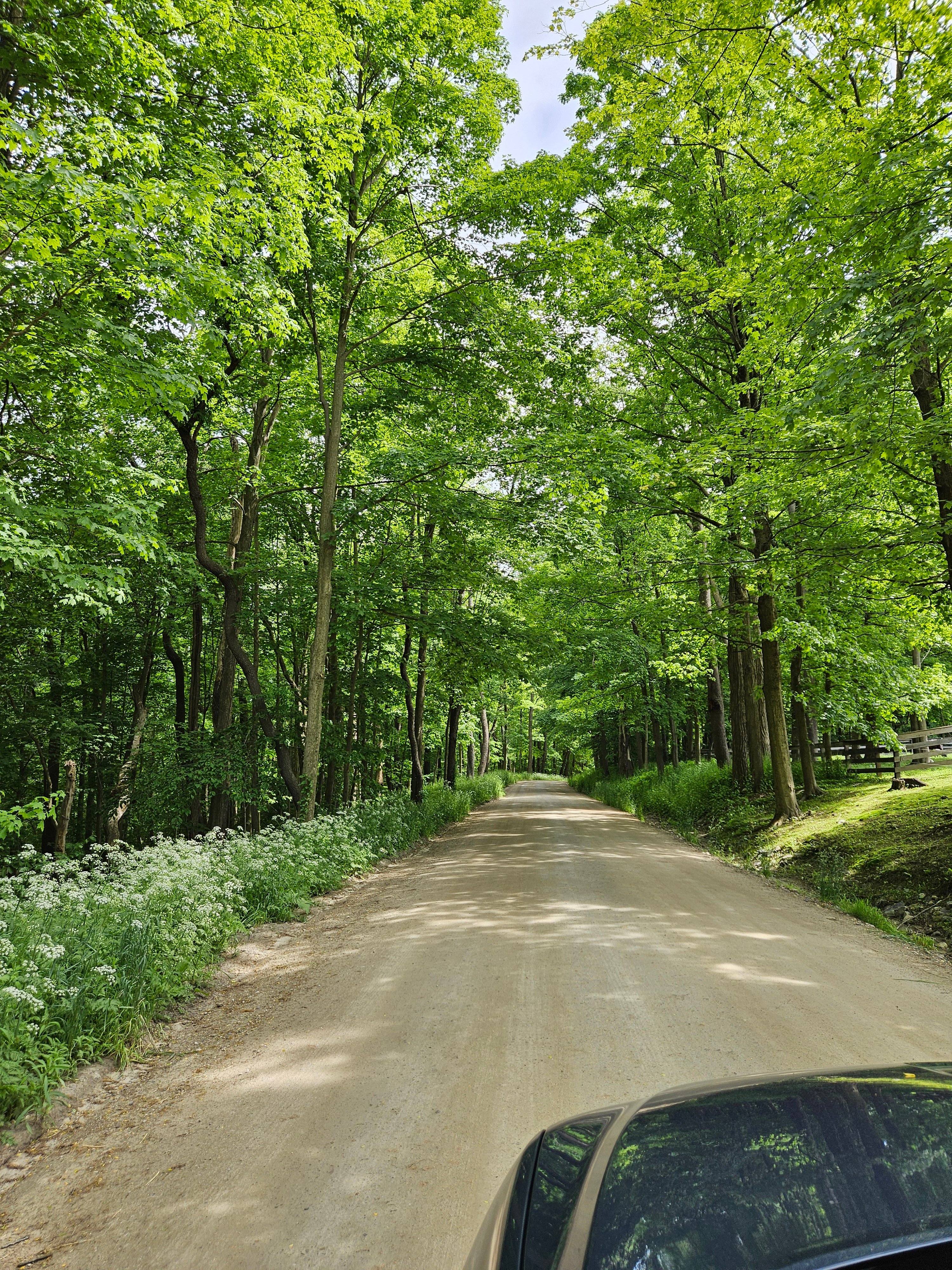 Litchfield County Day Trip: Lovers Leap, Arethusa Cheese & Thorncrest Chocolate (Best in Fall)