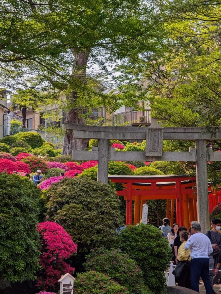 4 Days in Tokyo: A Neighborhood-by-Neighborhood Itinerary (2026